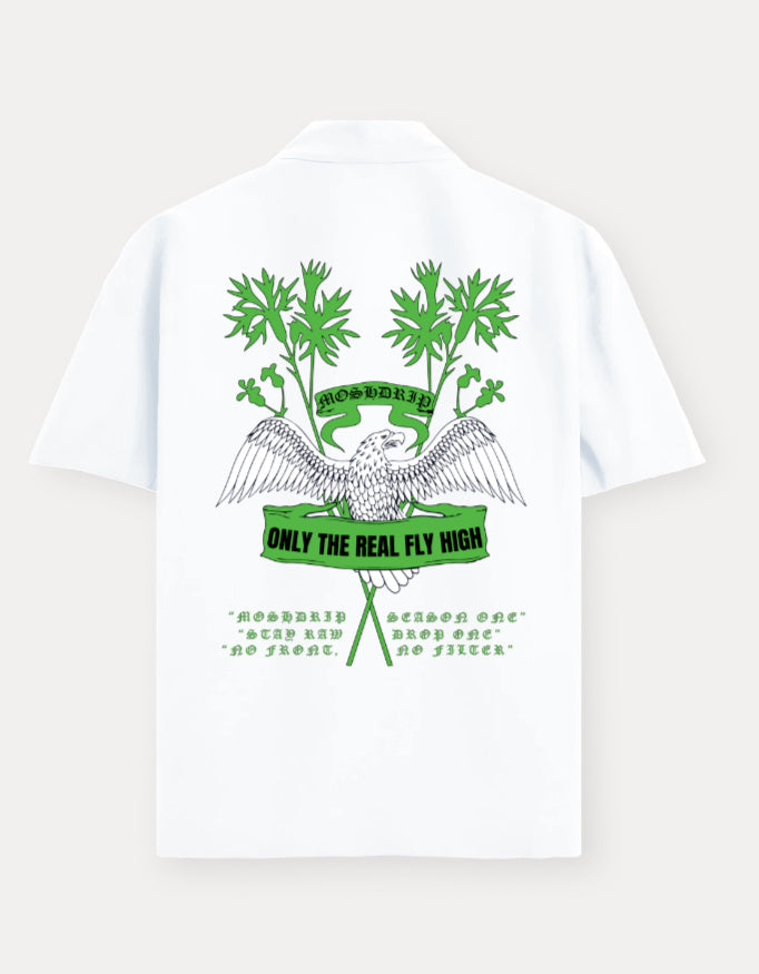 Color_White